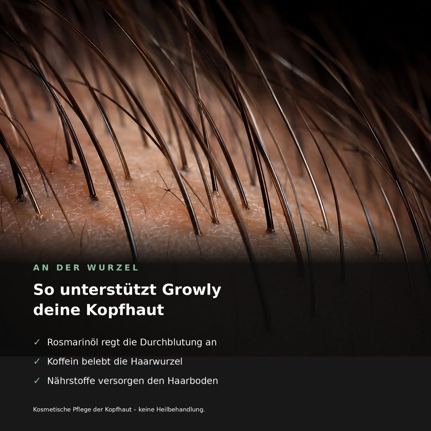 So wirkt Growly an der Haarwurzel – Stimulation der Kopfhaut